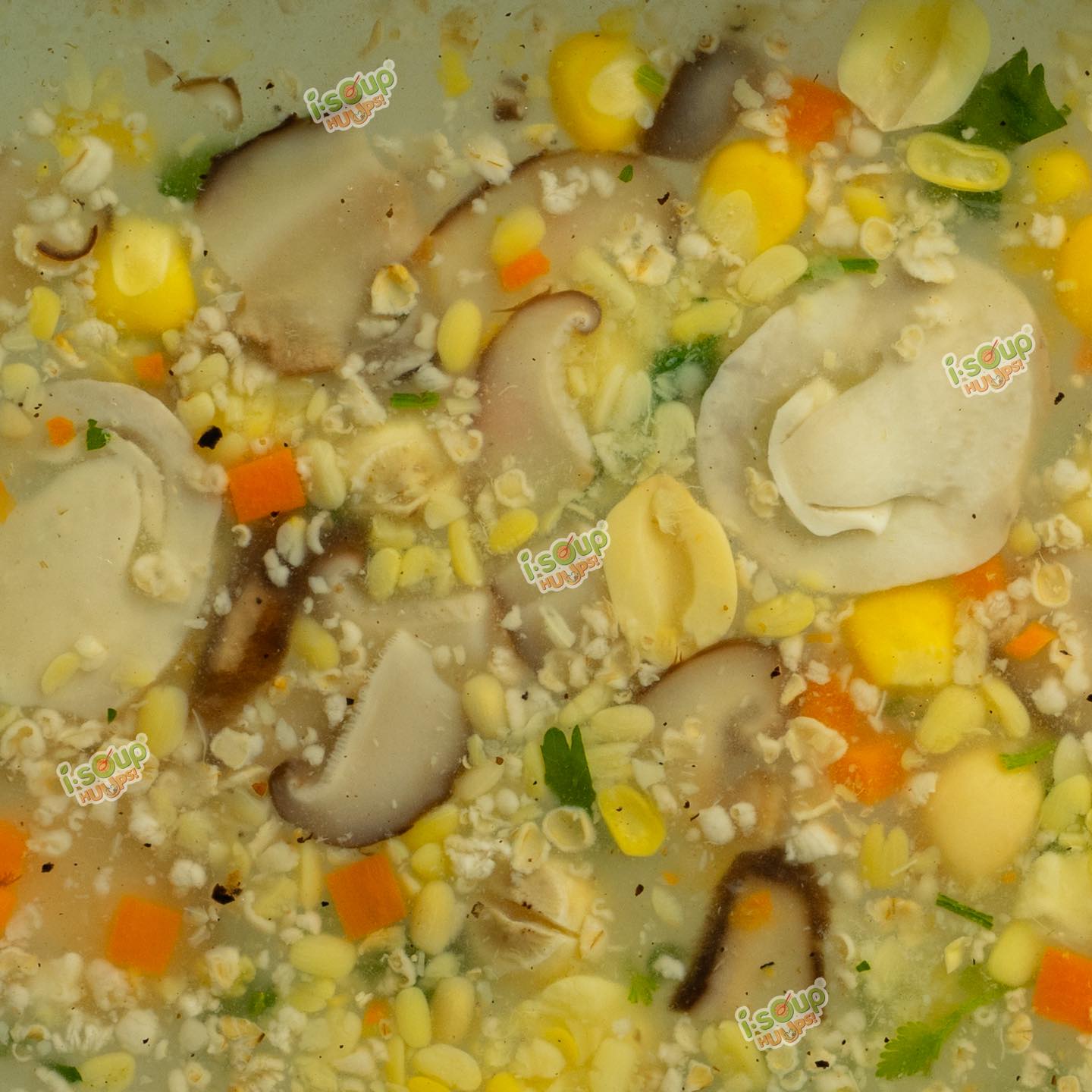 OAT MUSHROOM SOUP